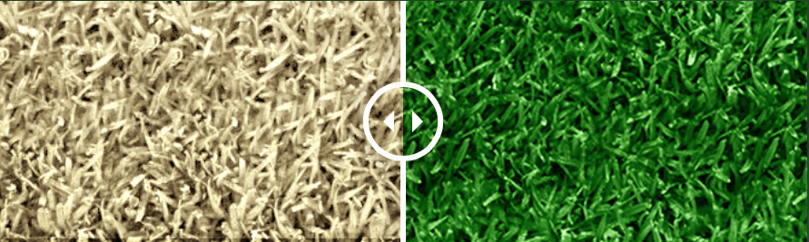 Turf Pigment